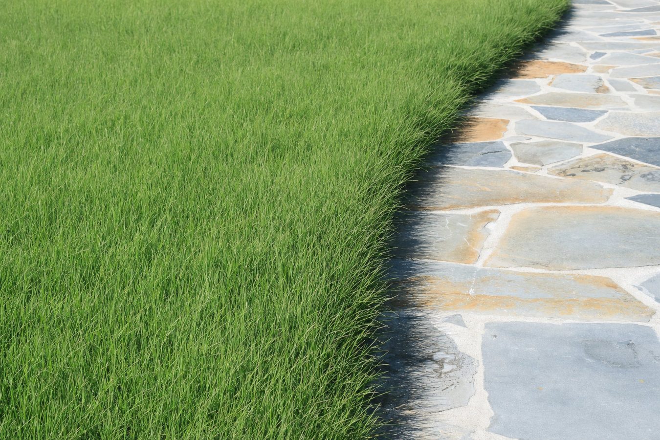 Artificial Turf Installer services in Merritt Island, FL